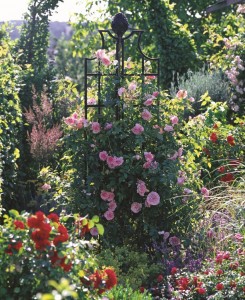 Classic climbing rose supportsarden Obelisk