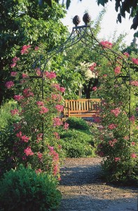 Rose Arches Kiftsgate