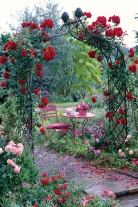 Climbing Rose supports - Kiftsgate Victorian Rose Arch