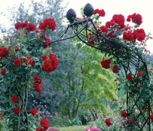 Garden Arches and Obelisks