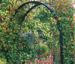 These garden arches with their clear and simple features make an elegant entrance. 