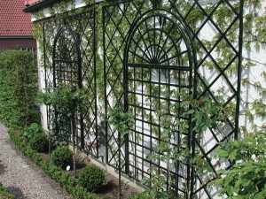 Climbing Rose & Plant supports - Poundbury Wall Trellis 