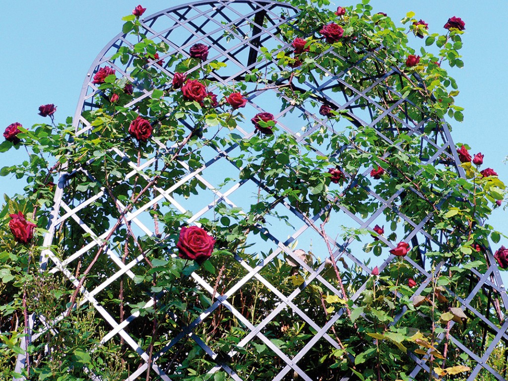 Rose Arbours from Classic Garden Elements