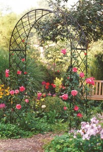 Rose Arch Roman Bagatelle