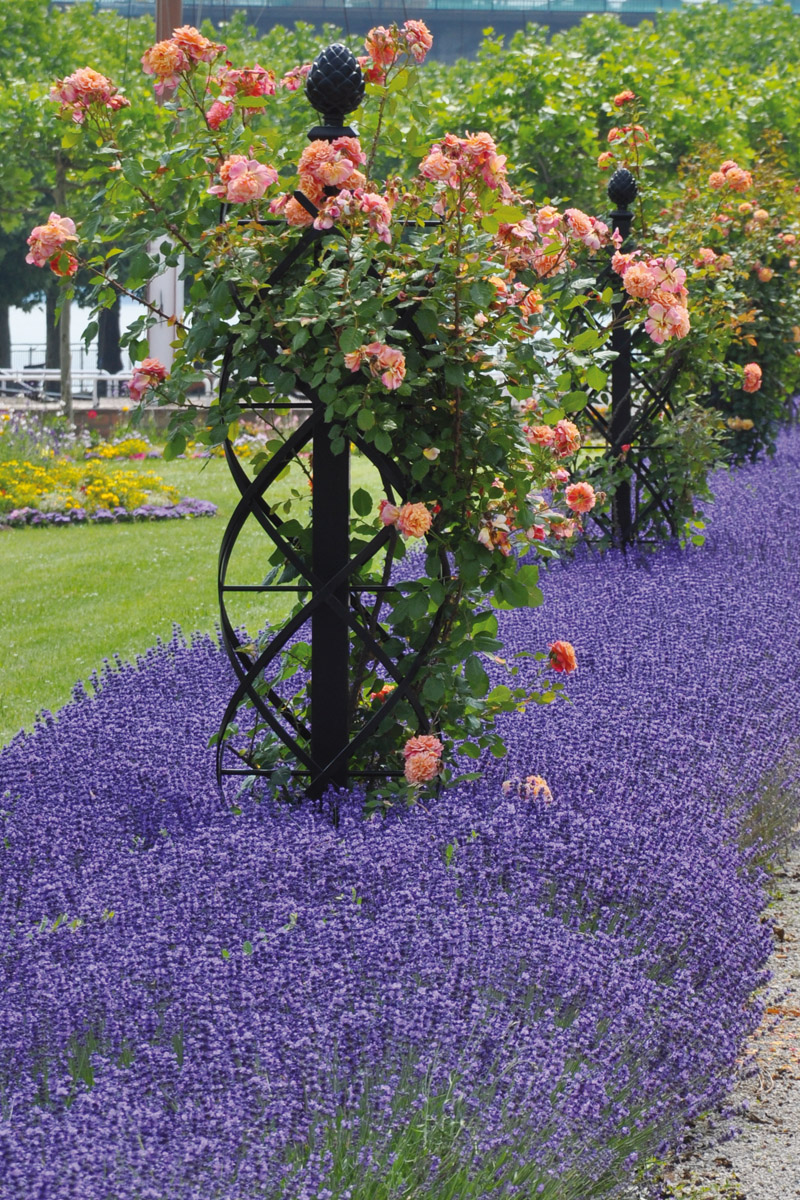 Rose Columns from Classic Garden Elements Ireland